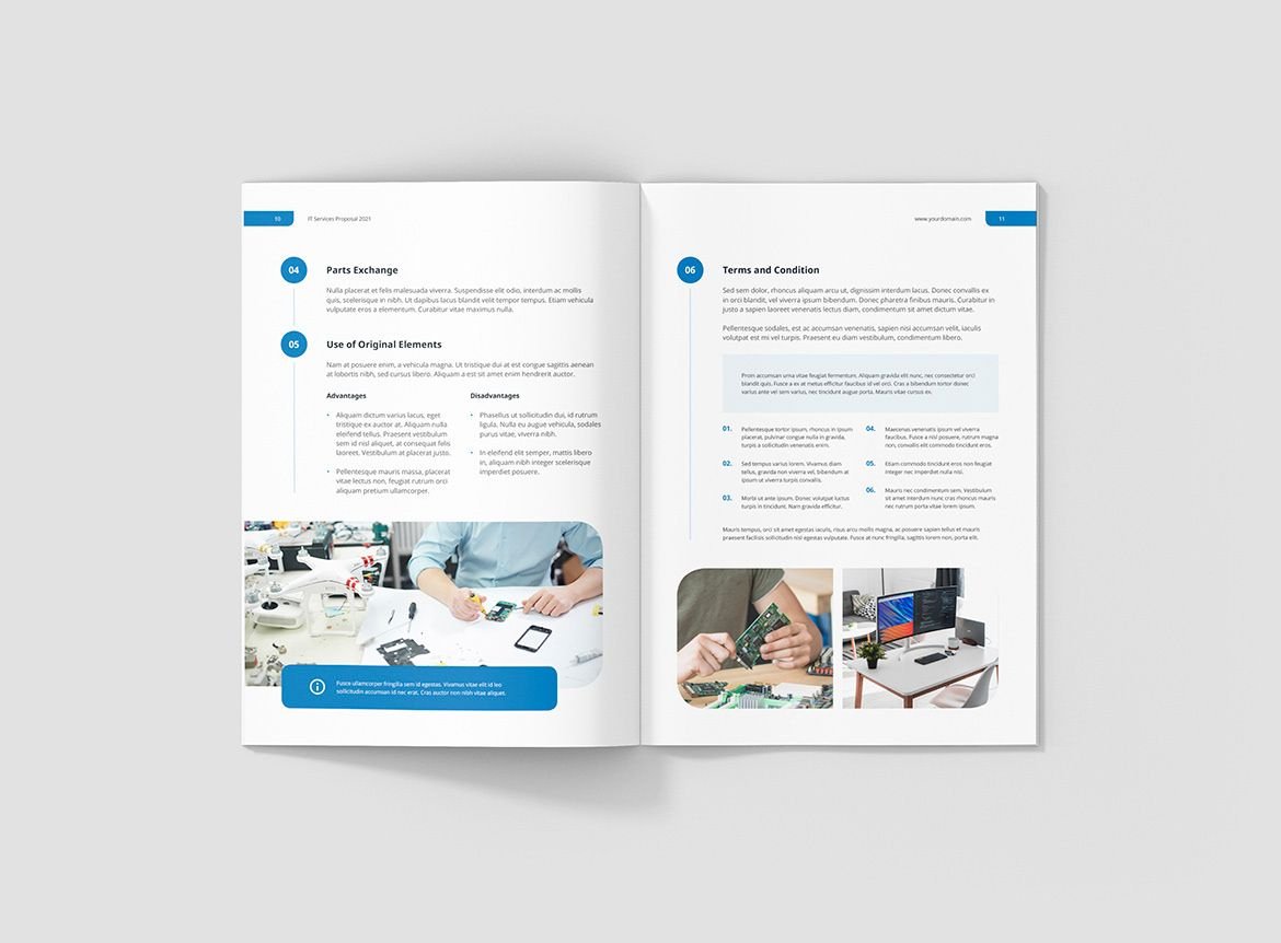 Professional Business Brochures