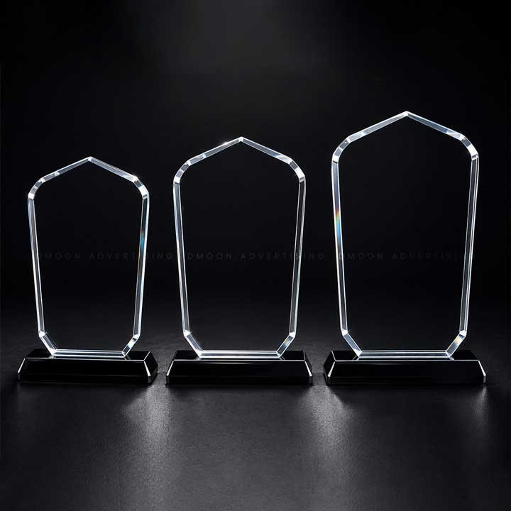 Pentagon Crystal Recognition Award